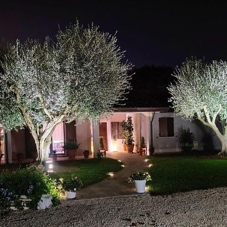 B&B Flavio E Catia マロッタ エクステリア 写真
